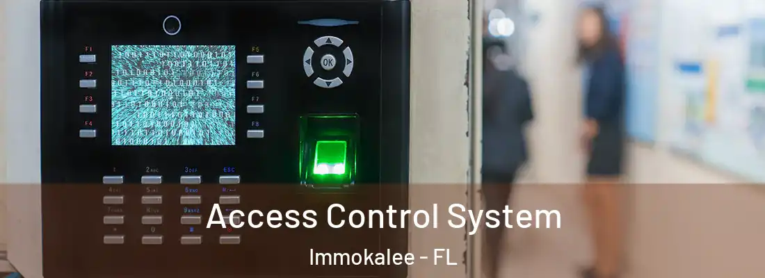  Access Control System Immokalee - FL