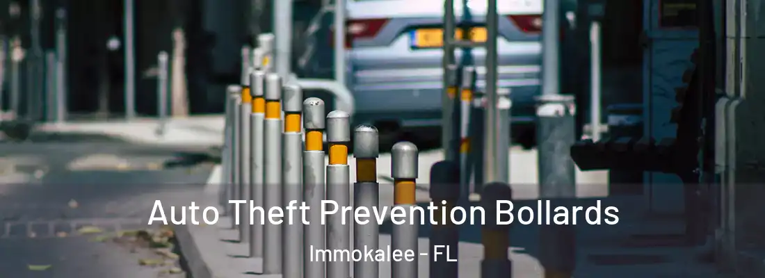  Auto Theft Prevention Bollards Immokalee - FL