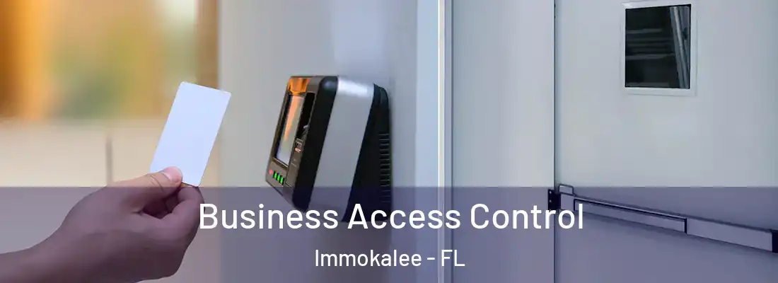 Business Access Control Immokalee - FL