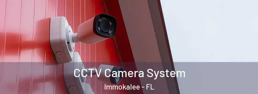 CCTV Camera System Immokalee - FL