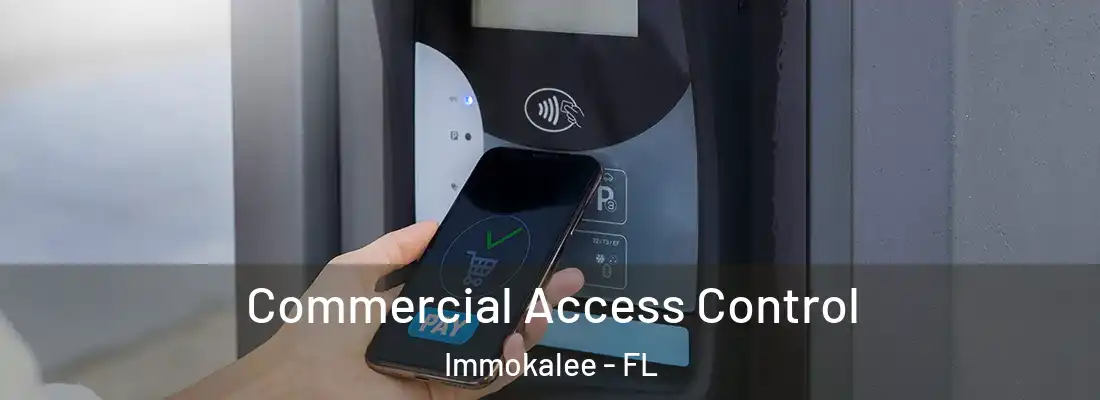 Commercial Access Control Immokalee - FL