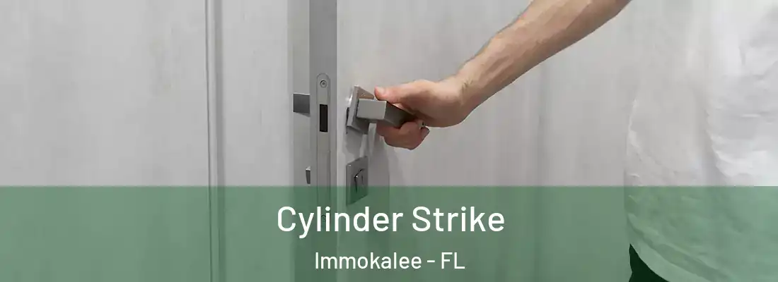  Cylinder Strike Immokalee - FL
