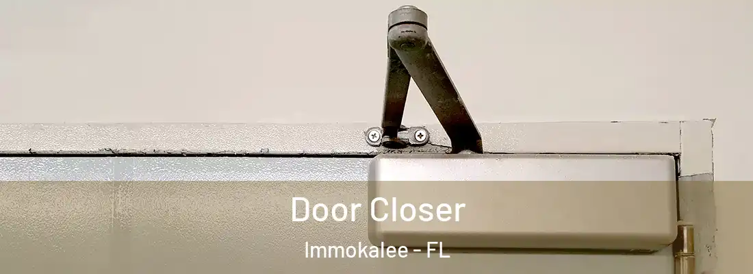 Door Closer Immokalee - FL