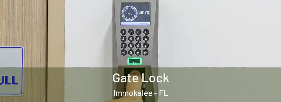 Gate Lock Immokalee - FL