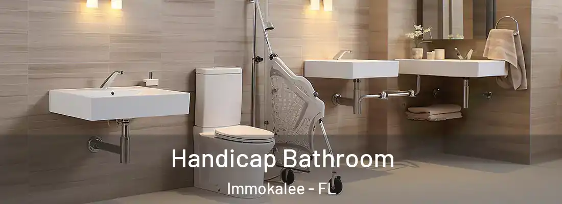 Handicap Bathroom Immokalee - FL