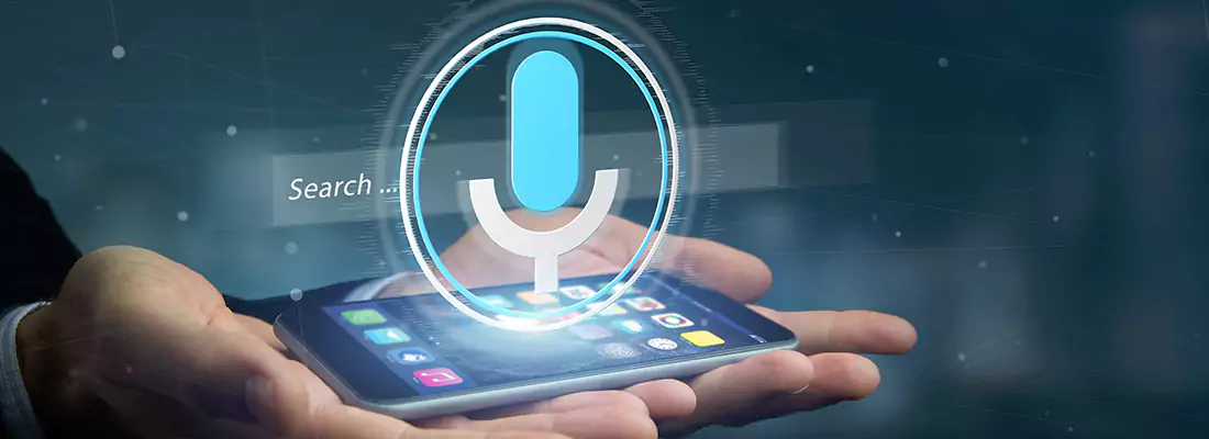 Enhance Security with Voice Recognition Access Systems in Immokalee, FL