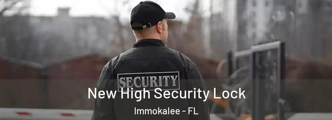 New High Security Lock Immokalee - FL